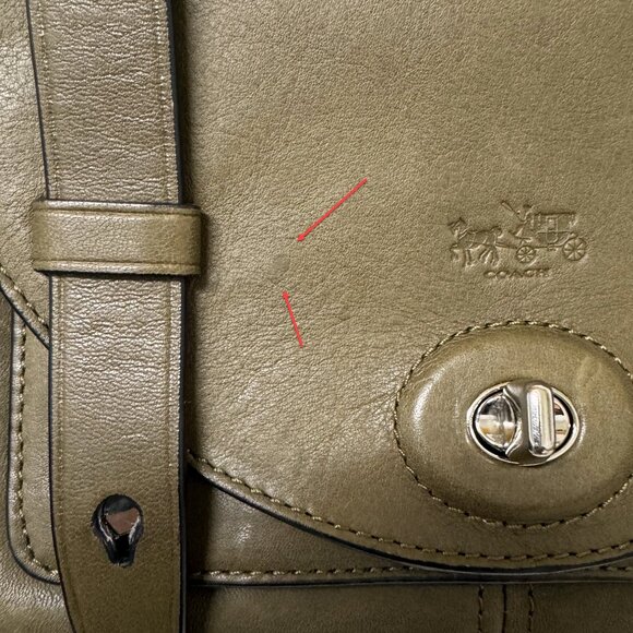 COACH Bleecker Python Mini Messenger Sv/Natural Olive - Picture 15 of 16